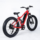 bicycle怎么读