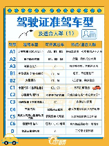 b照可以开什么车，B照驾驶证可以驾驶的车型