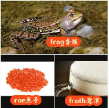 科普： frog 怎么读