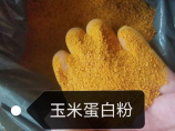 1kg等于多少牛：质量与力的单位解析