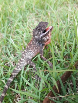 弗吉尼亚大学：2024年的成就与展望