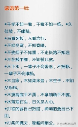 一时强弱在于力，万古胜负在于理：深析这句俗语的含义