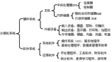 桂f是哪里的车牌号码，桂F车牌号码的归属地