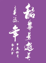 韶华是什么意思