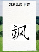 飒飒怎么读