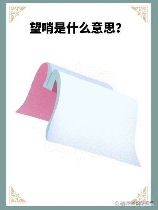 望哨的意思是什么
