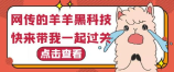 红包522是什么意思，红包522的意思