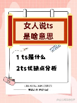ts版是什么意思，TS版是什么意思