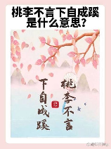 桃李不言下自成蹊：对老师角色的深刻隐喻