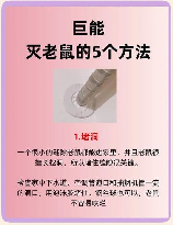 怎么灭老鼠最有效