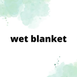 wet怎么读