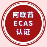 雅阁十代：年轻设计、黑科技动力与智能升级